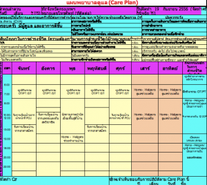 7 ตัวอย่าง care plan นวลพรรณ